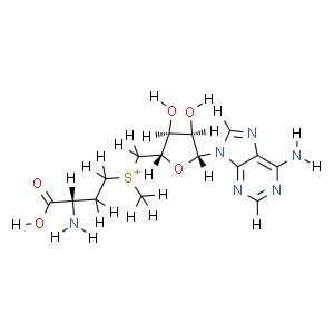 S Adenosyl L Methioninate CAS 29908 03 0 Naturewill Biotechnology